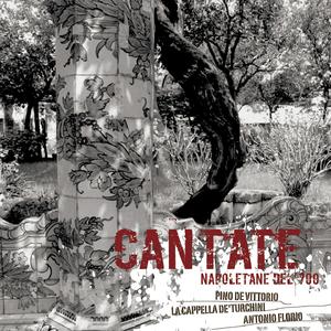 Lo villano che `na chianca