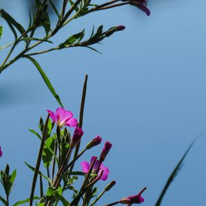 i just want to ride with you（prod by  ）