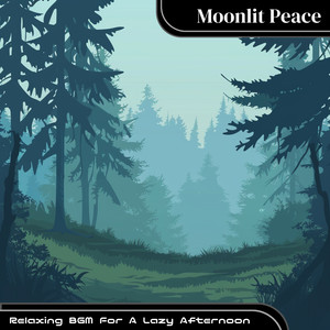 Amber Sunset Moments