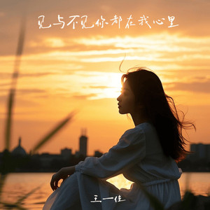 伤心苦情歌 (DJ版)