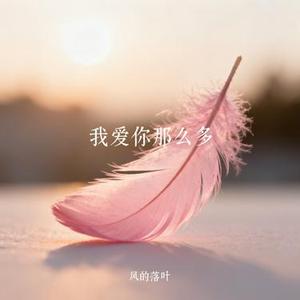 我爱你那么多 (Cover 萧亚轩)