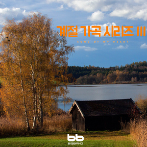 가을에는 코스모스가 되어 Being Cosmos When Autumn Has Come