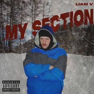 My Section
