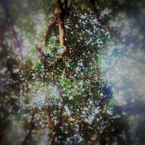 Udntknw (t'salllove) 128BPM