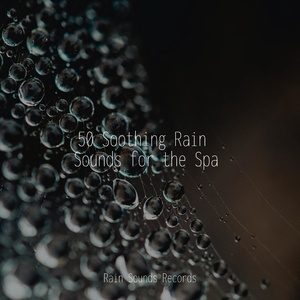 Whispers of the Hidden Grove