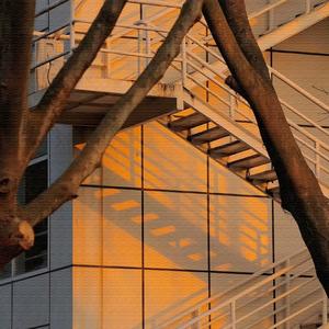 妈妈的吻 (适合老年人的广场舞)