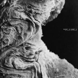 Ninety-Ninety Rule (feat. Istasha)