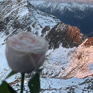 一眼星光燎过我