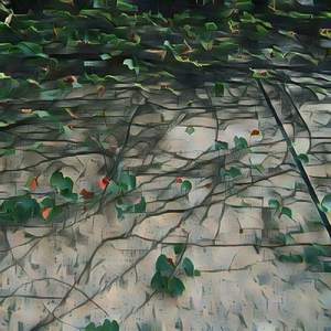 When you like someone