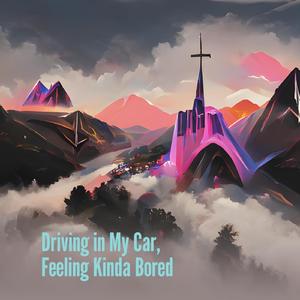 Driving in My Car, Feeling Kinda Bored