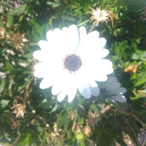 Bienvenido a la Ciudad.