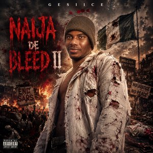 Naija De Bleed II