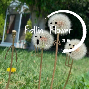 Fallin Flower钢琴版（翻自 SEVENTEEN）