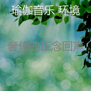 一尘不染正念印象数