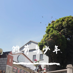 情深不寿(Cover冬子.)