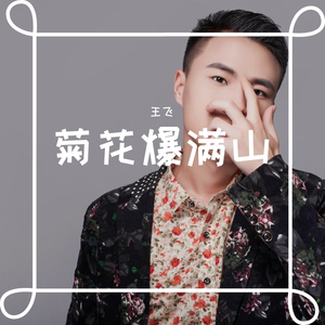 菊花爆满山