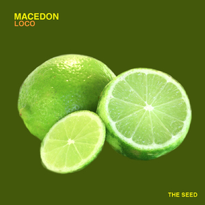 Loco (Ross Mt. Park Remix)