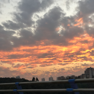 怕真心说得太满