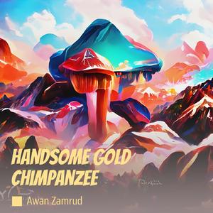 Handsome Gold Chimpanzee