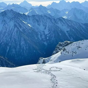 来自雪山那边的赛博电子酥油茶