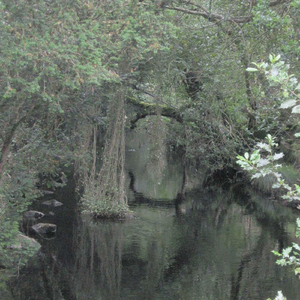 Wings of Love (Tu Ch'hai Le Penne, Amore)