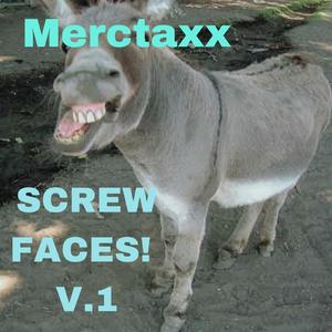 Merctaxx- Pig n a Wig