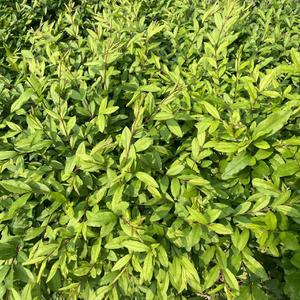 这一生关于你的风景