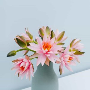 _这一生关于你的风景-星星点燃