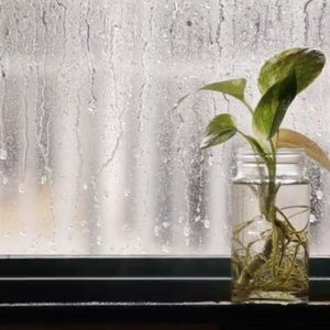 微笑漾在蝴蝶雨