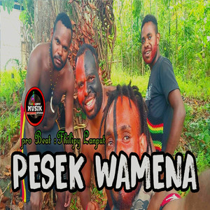 Pesek Wamena (Original Mix)