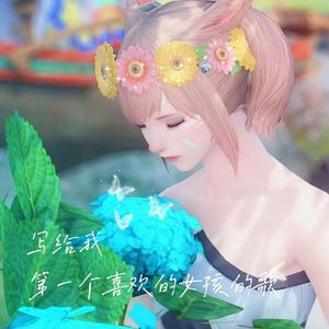 写给我第一个喜欢的女孩的歌