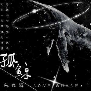 孤鲸