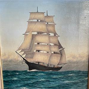 kangaroo around Cairo