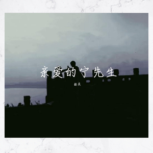 亲爱的宁先生 伴奏