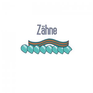 Zähne