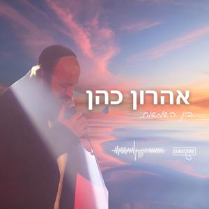 בין השמשות