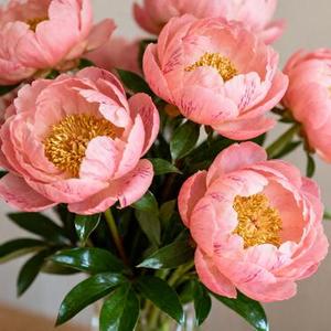 我会等 (是鱼呀 Remix)