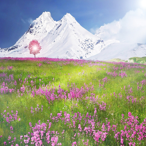 정신적 스트레스를 없애주는 피아노