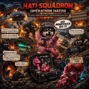 HATI SQUADRON — OPÉRATION HATOR