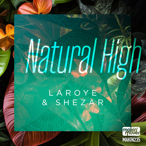 Natural High (Vocal Mix)