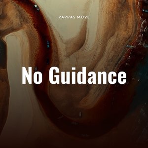 No Guidance