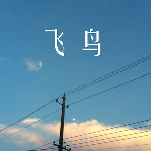 飞鸟live