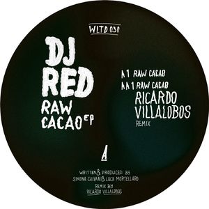 Raw Cacao (Ricardo Villalobos Remix)