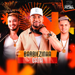 Barbiezinha Gata