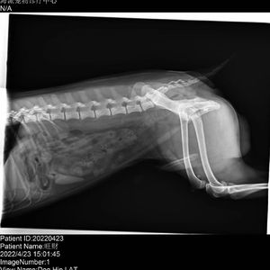 结婚不一定要办婚礼