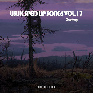 seven (sped up remix)