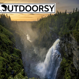 Waterfall In The Forest