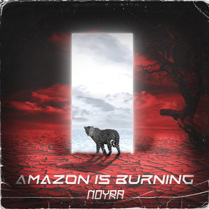 Amazon Is Burning