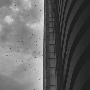 the view from halfway down