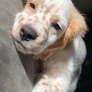 What It Sounds Like (slowed)